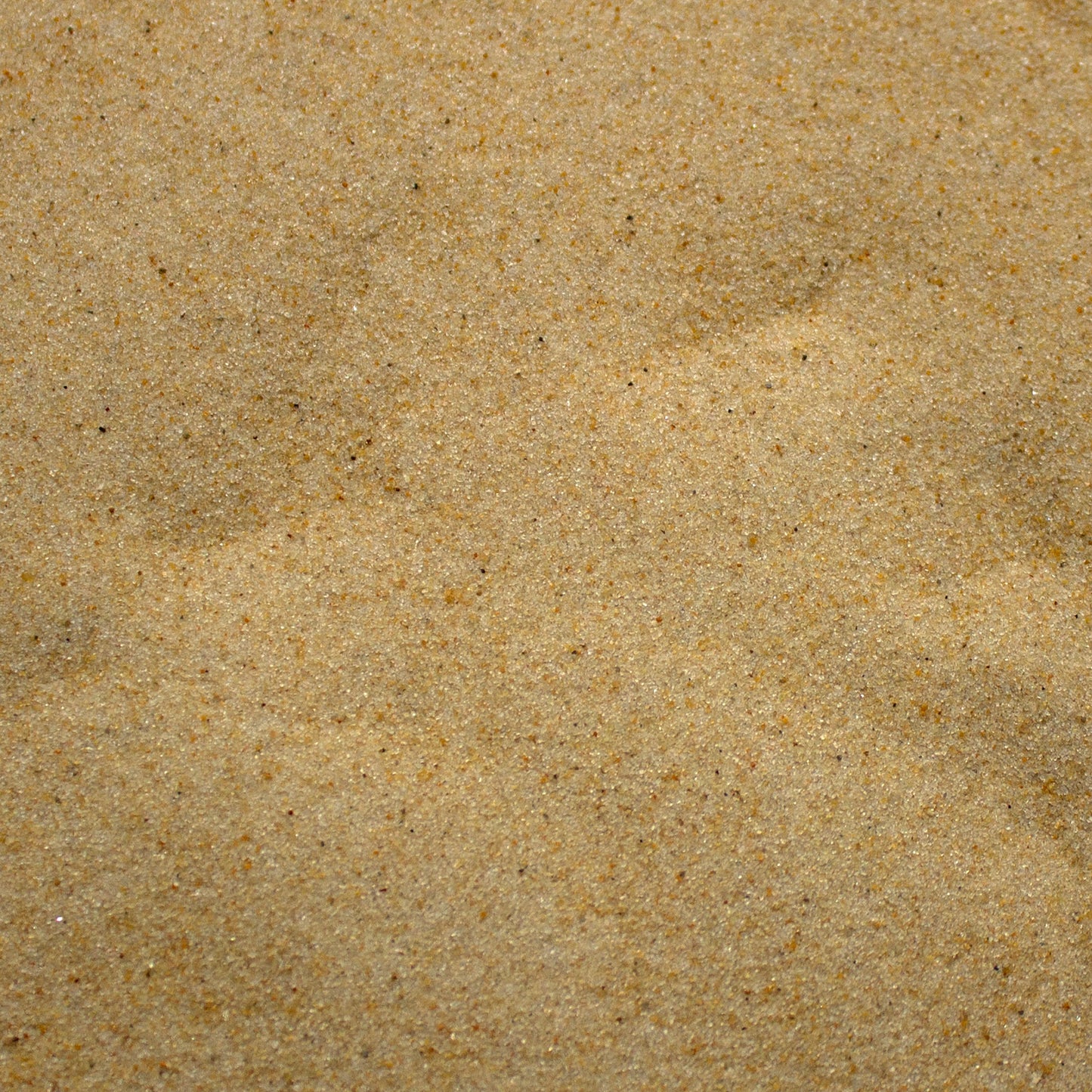 Base Ready Tropical Beach