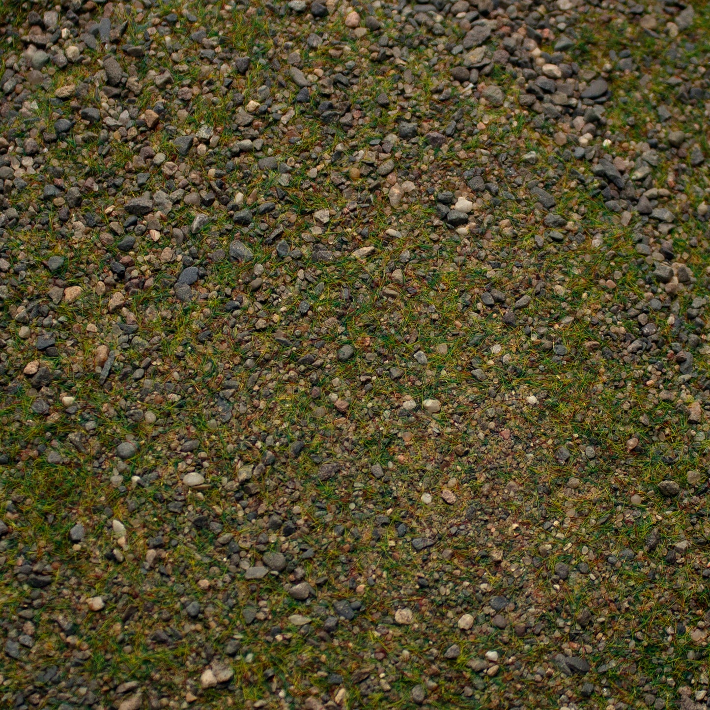 Base Ready Patchy Plains (Small Scale)