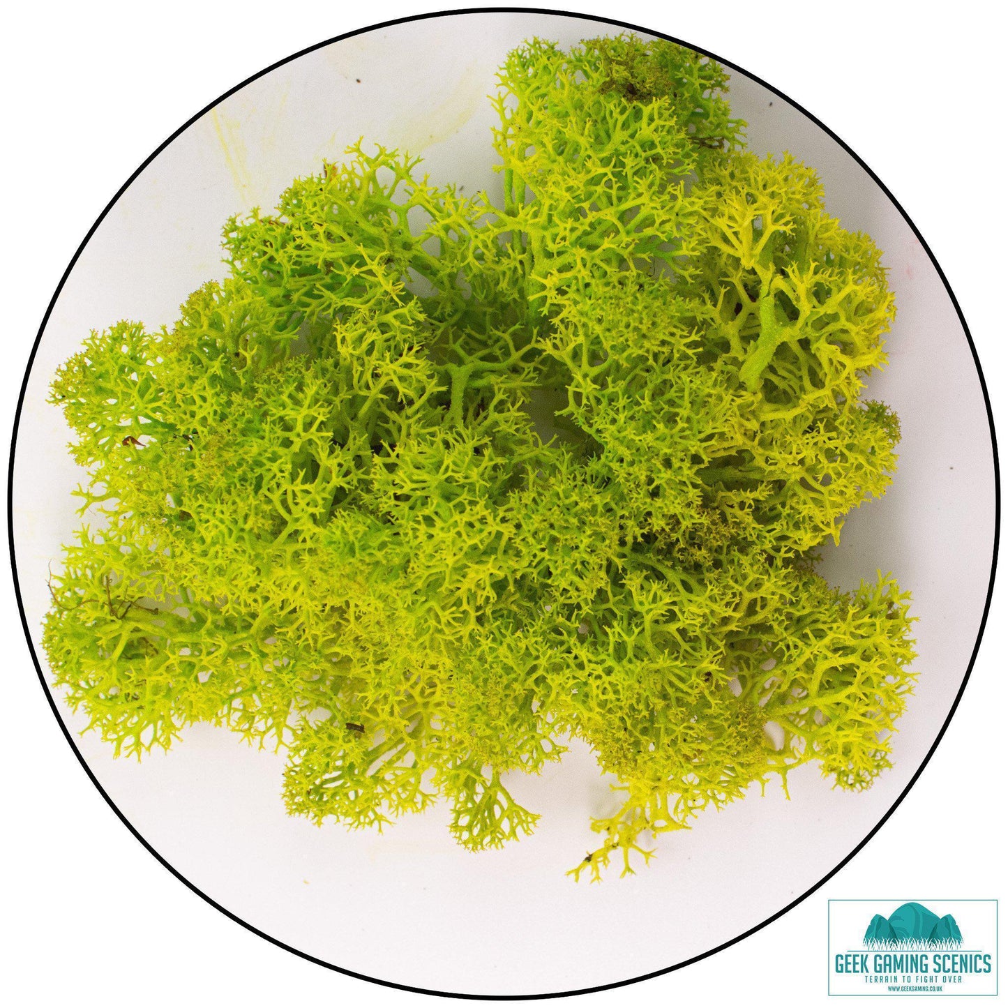 Lichen - Reindeer Moss (Icelandic Moss) Apple Green (Spring) - Geek Gaming Scenics