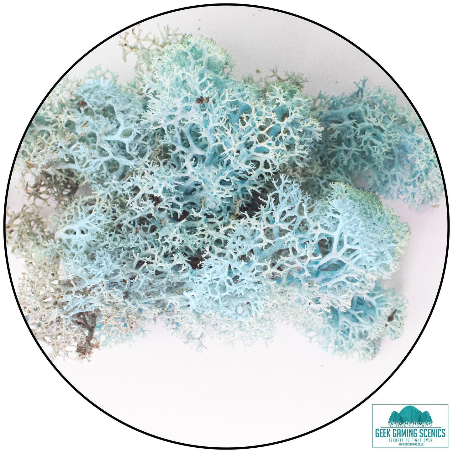 Lichen - Reindeer Moss (Icelandic Moss) Aquamarine - Geek Gaming Scenics