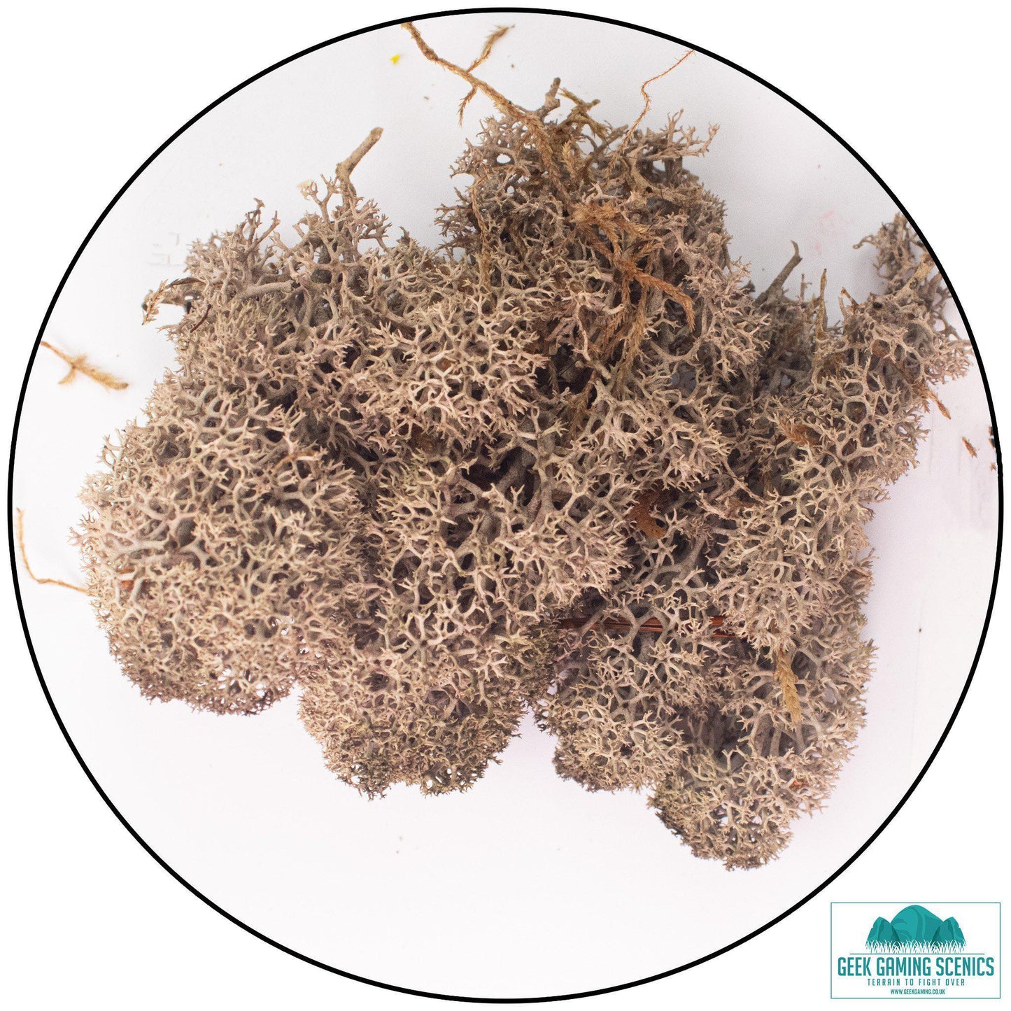 Lichen - Reindeer Moss (Icelandic Moss) Brown - Geek Gaming Scenics