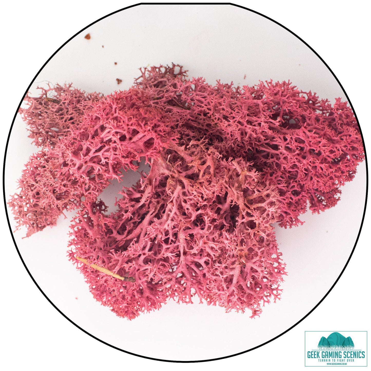 Lichen - Reindeer Moss (Icelandic Moss) Burgundy Red - Geek Gaming Scenics