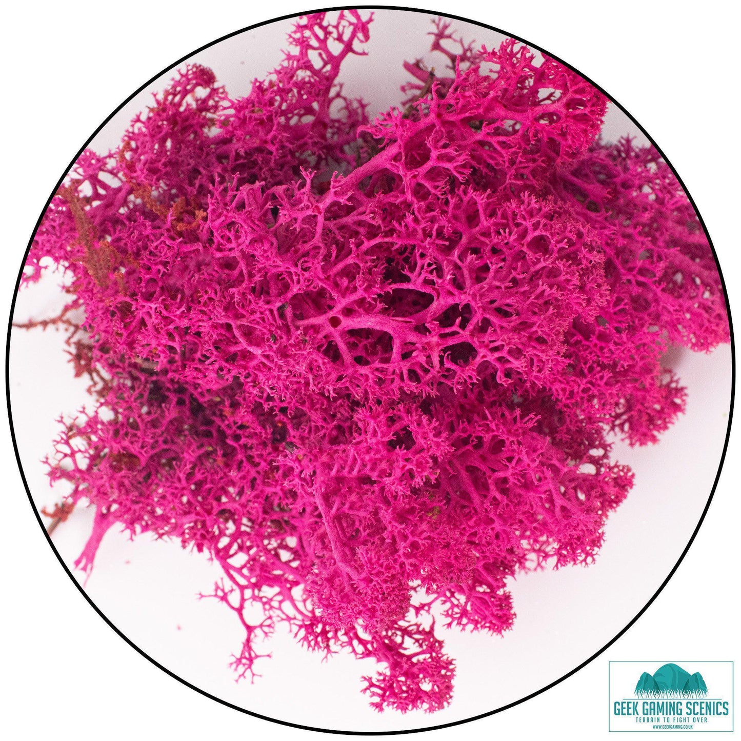 Lichen - Reindeer Moss (Icelandic Moss) Cherry Blossom - Geek Gaming Scenics