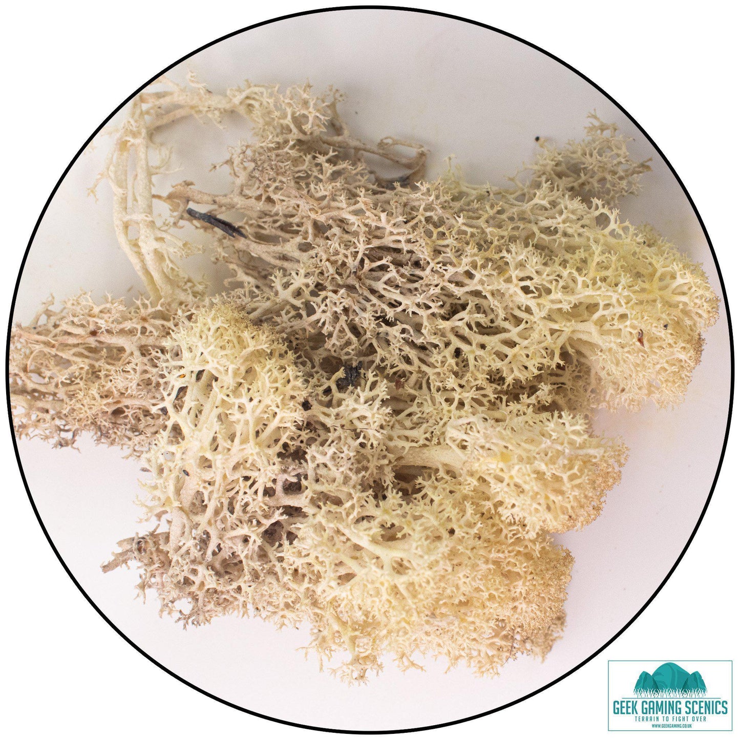 Lichen - Reindeer Moss (Icelandic Moss) Misty White - Geek Gaming Scenics