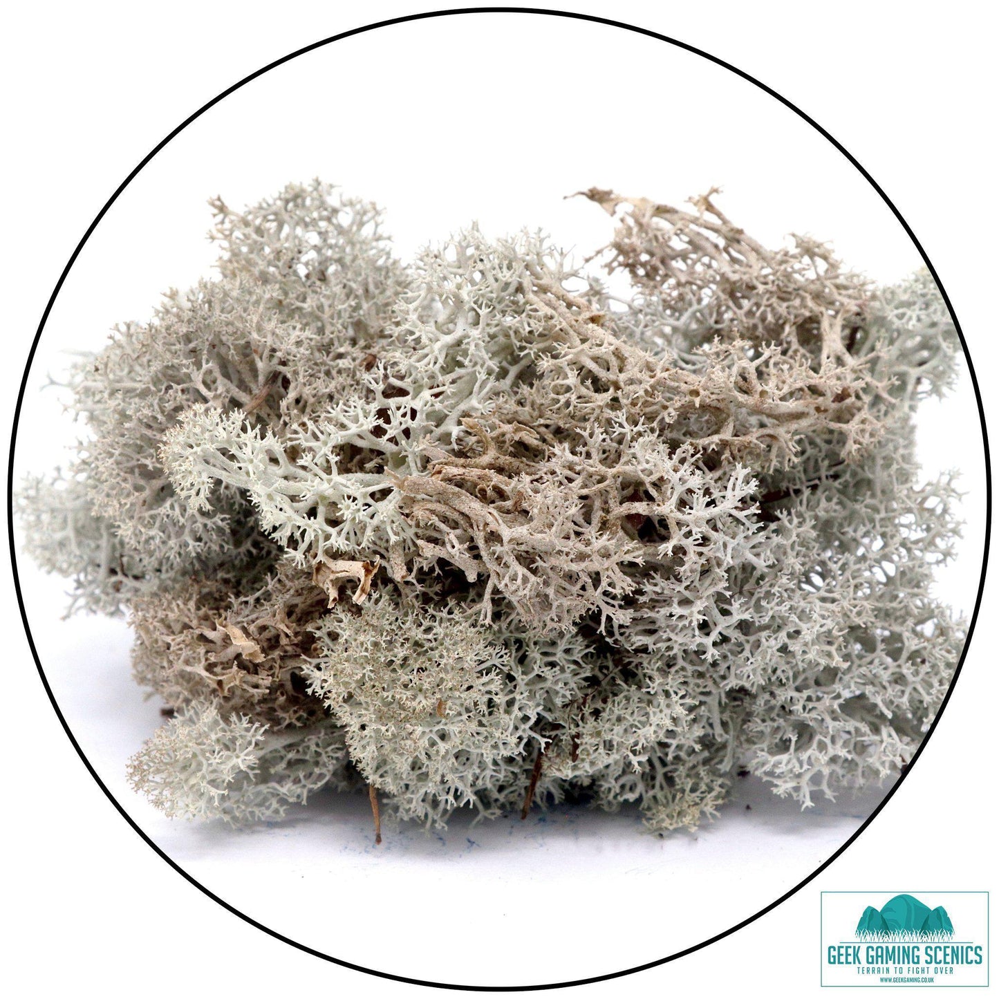 Lichen - Reindeer Moss (Icelandic Moss) Natural - Geek Gaming Scenics