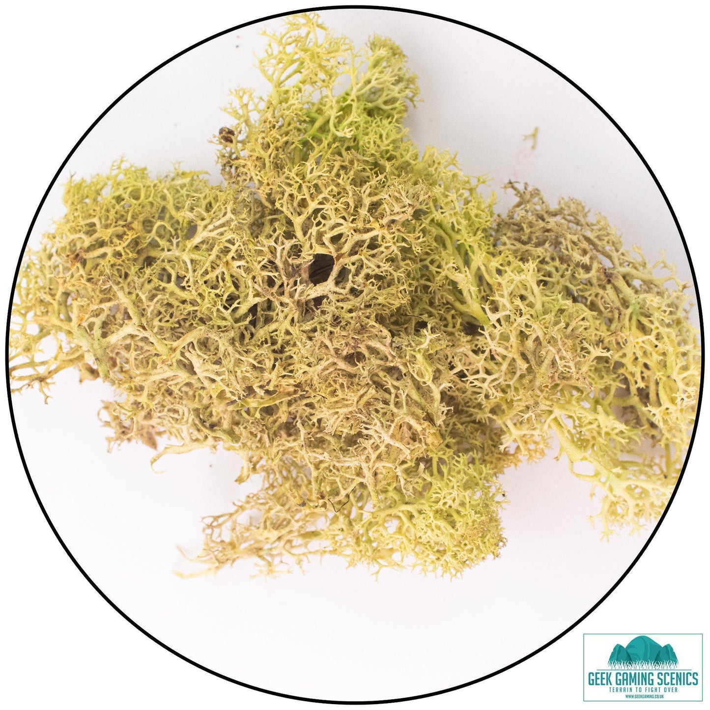 Lichen - Reindeer Moss (Icelandic Moss) Old Green - Geek Gaming Scenics