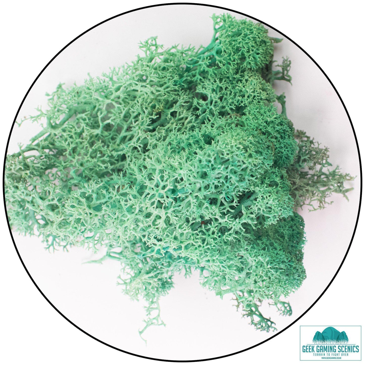 Lichen - Reindeer Moss (Icelandic Moss) Pacific Green - Geek Gaming Scenics