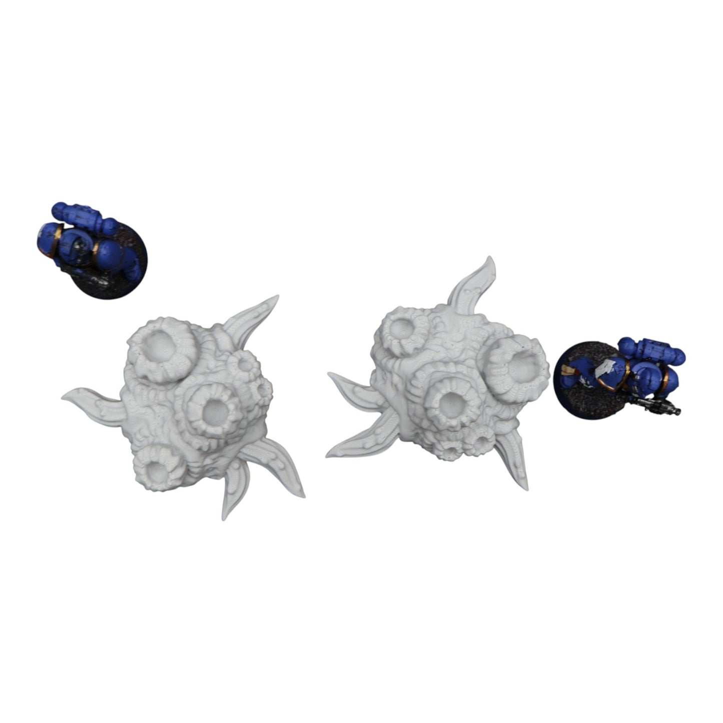 Flesh Barnacle #1 - 28mm Wargaming Scatter Terrain Scenery Tabletop Miniature