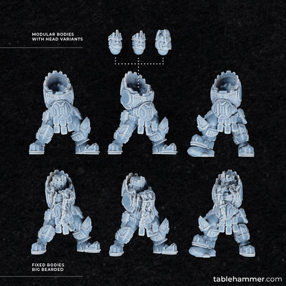 Hågen Hogslayer – Dwarf king of the Federation