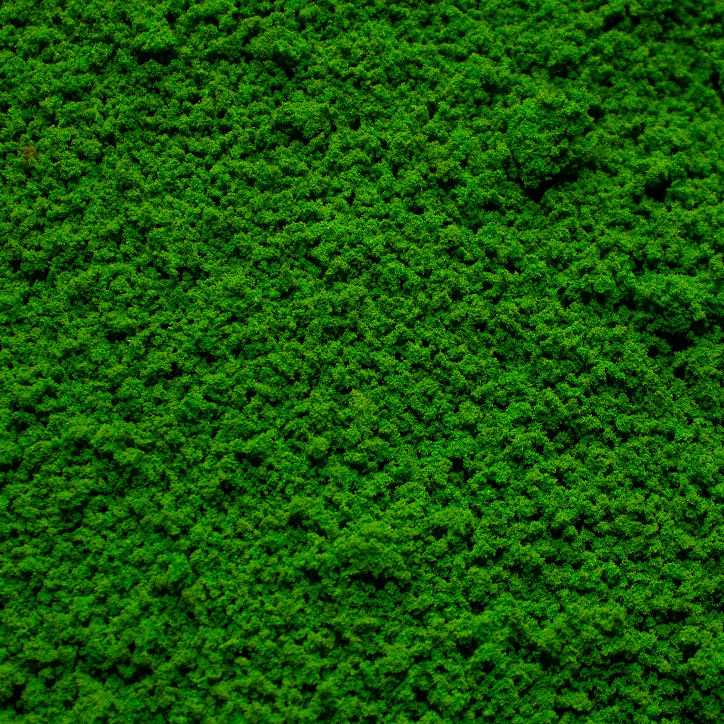 Coarse Flock - Woodland Fern Light Green