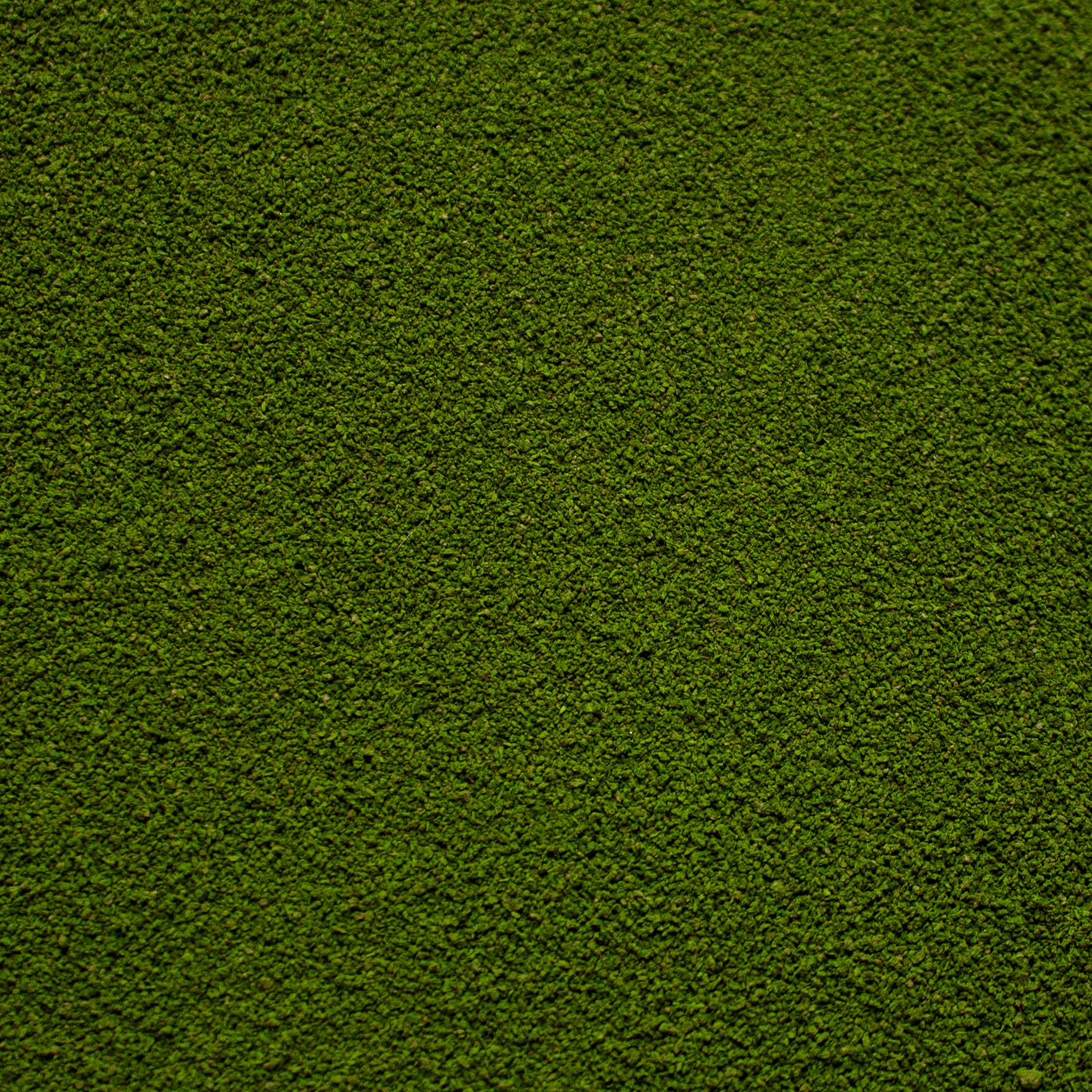 Fine Flock - Woodland Fern Light Green