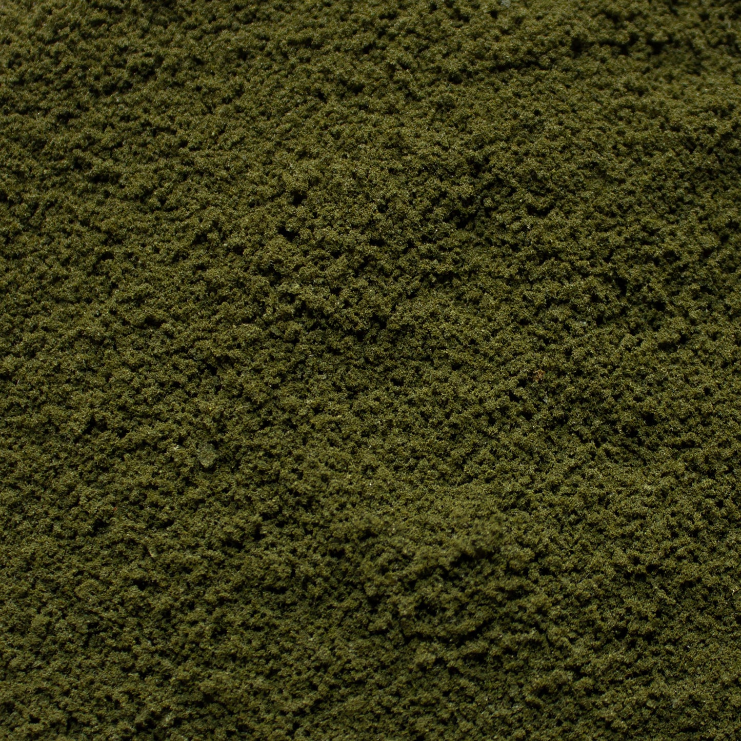 Coarse Flock - Olive Grove