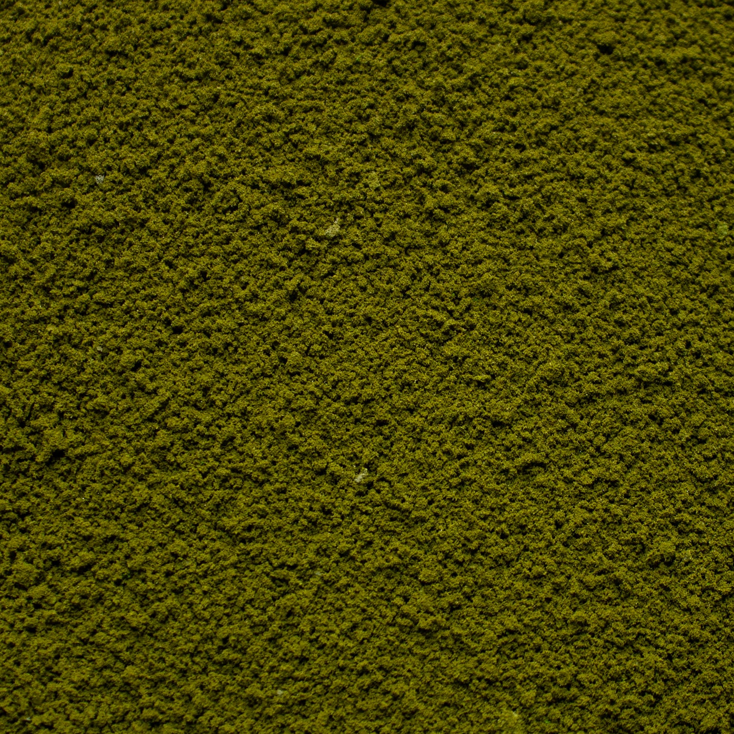 Coarse Flock - Forest Lake