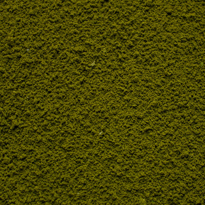 Coarse Flock - Forest Lake