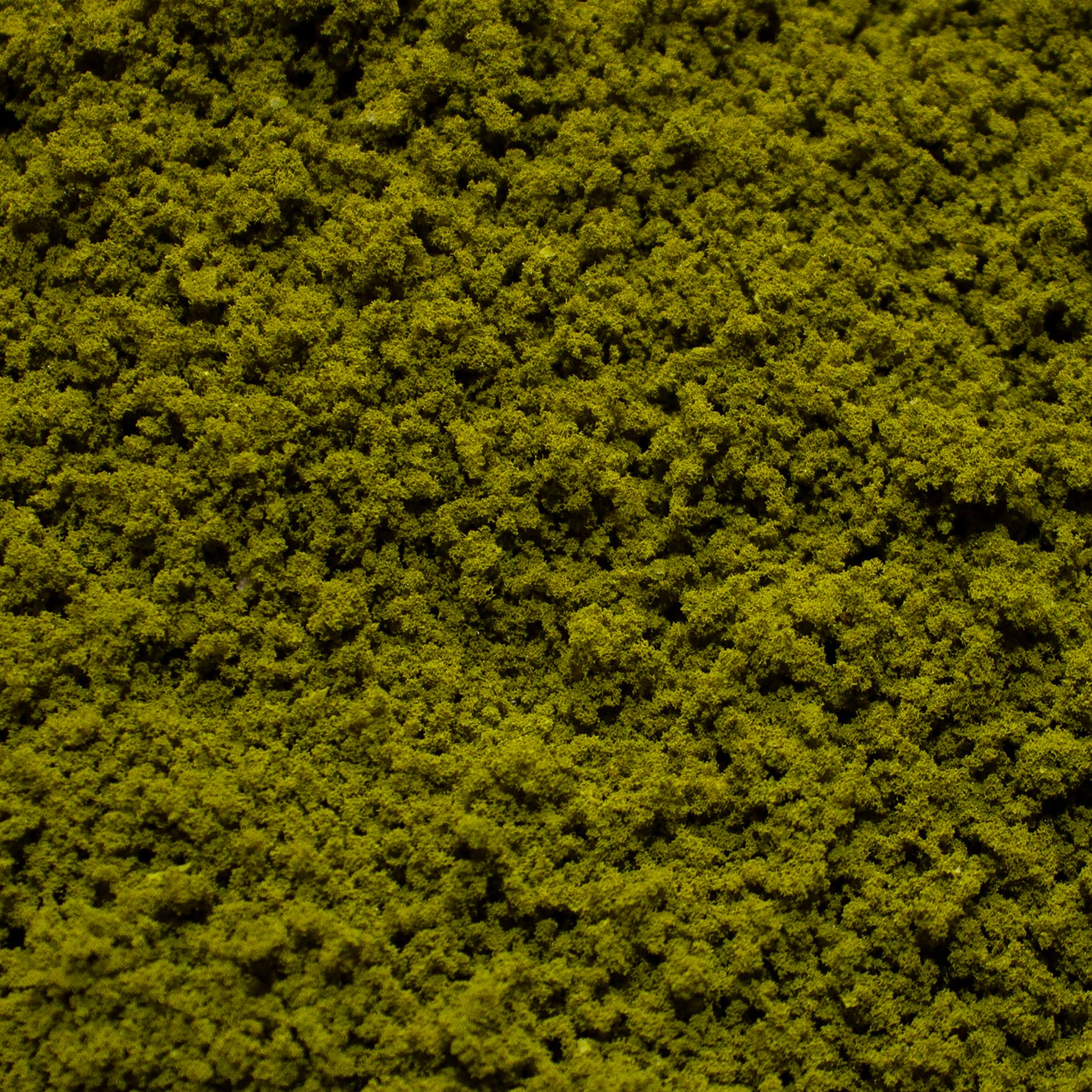 Coarse Flock - Mountain Moss