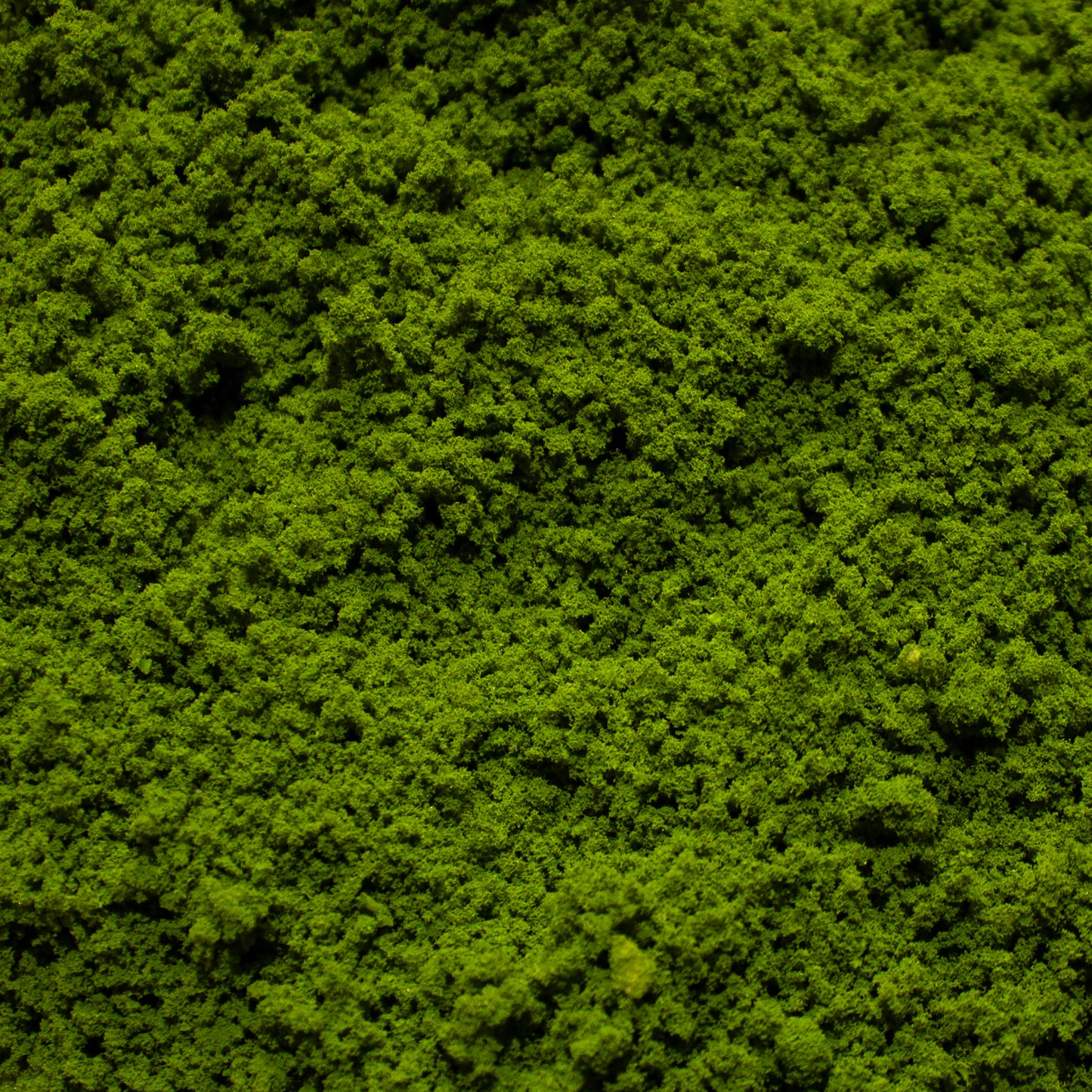 Coarse Flock - Rainforest Canopy