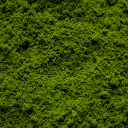 Rainforest Canopy Coarse Flock | Dense Jungle Canopy & Tropical Terrain | Geek Gaming Scenics - Flock - Geek Gaming Scenics - Geek Gaming Scenics