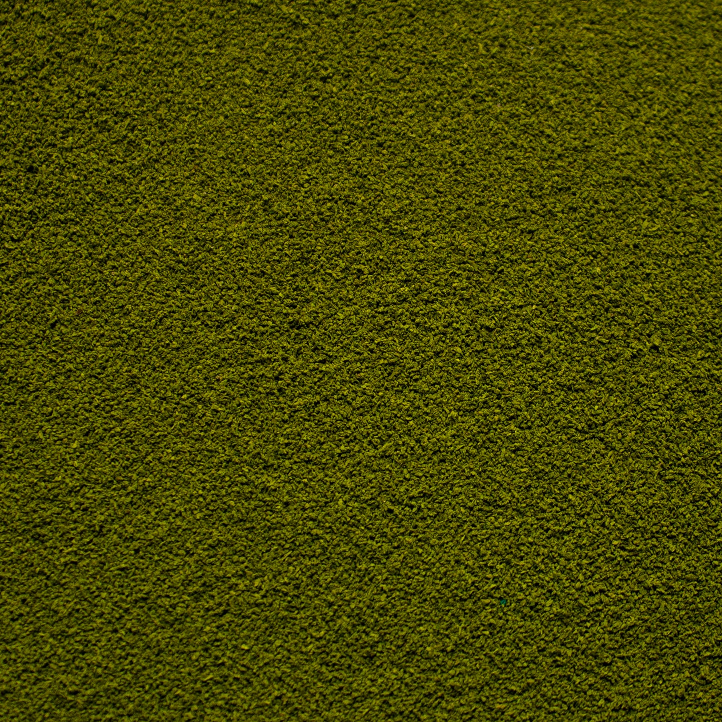 Fine Flock - Rainforest Canopy