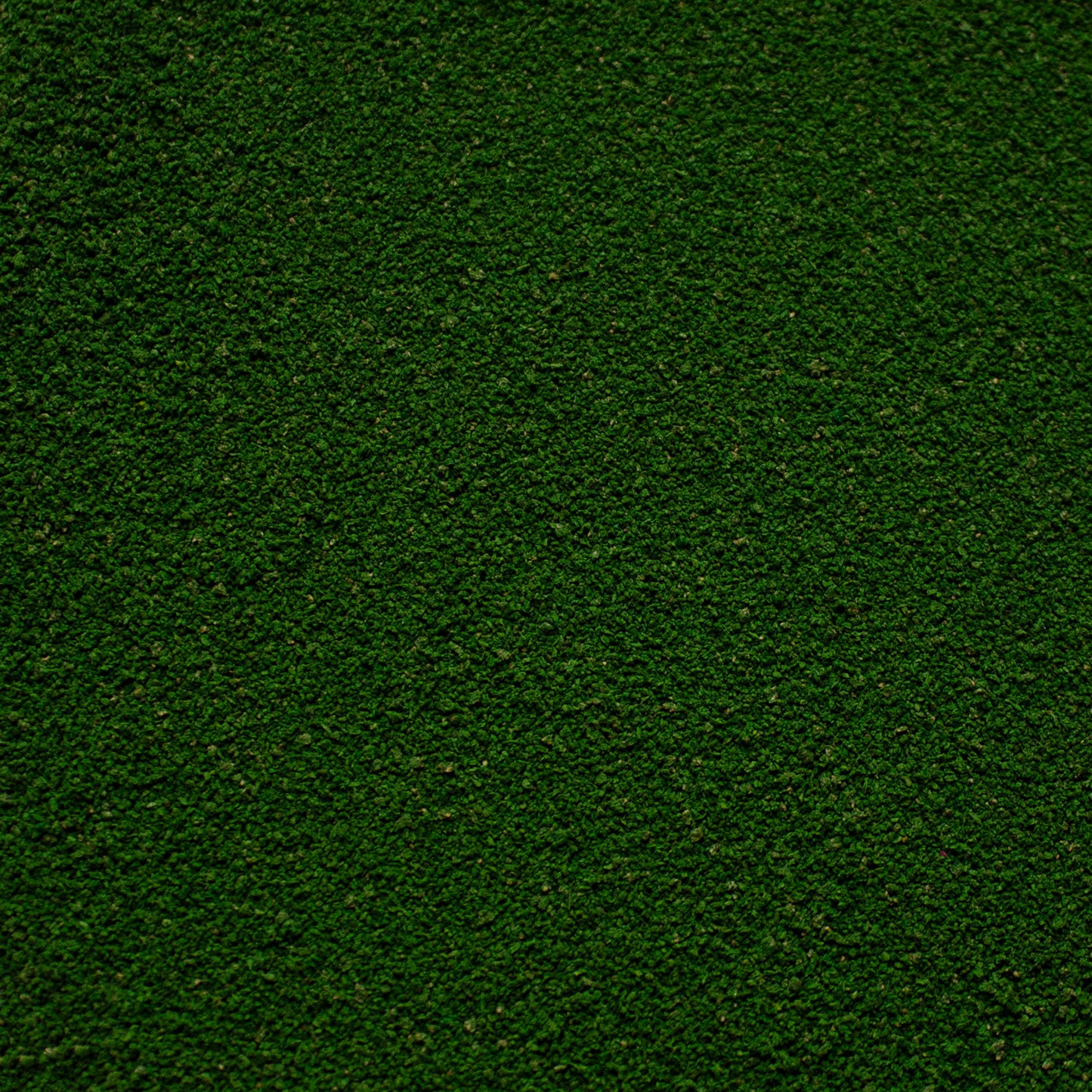 Fine Flock - Woodland Fern Mid Green