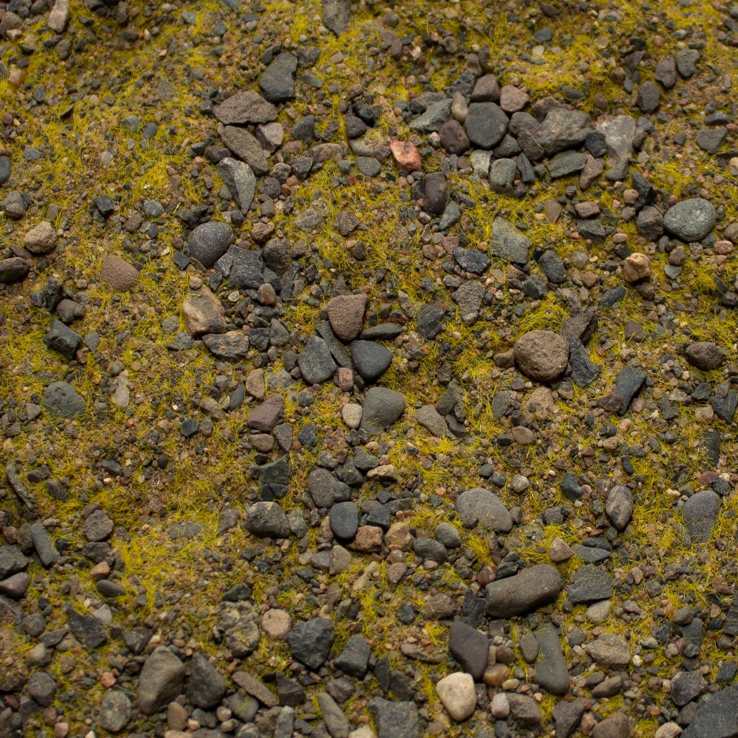 Base Ready Arid Grasslands