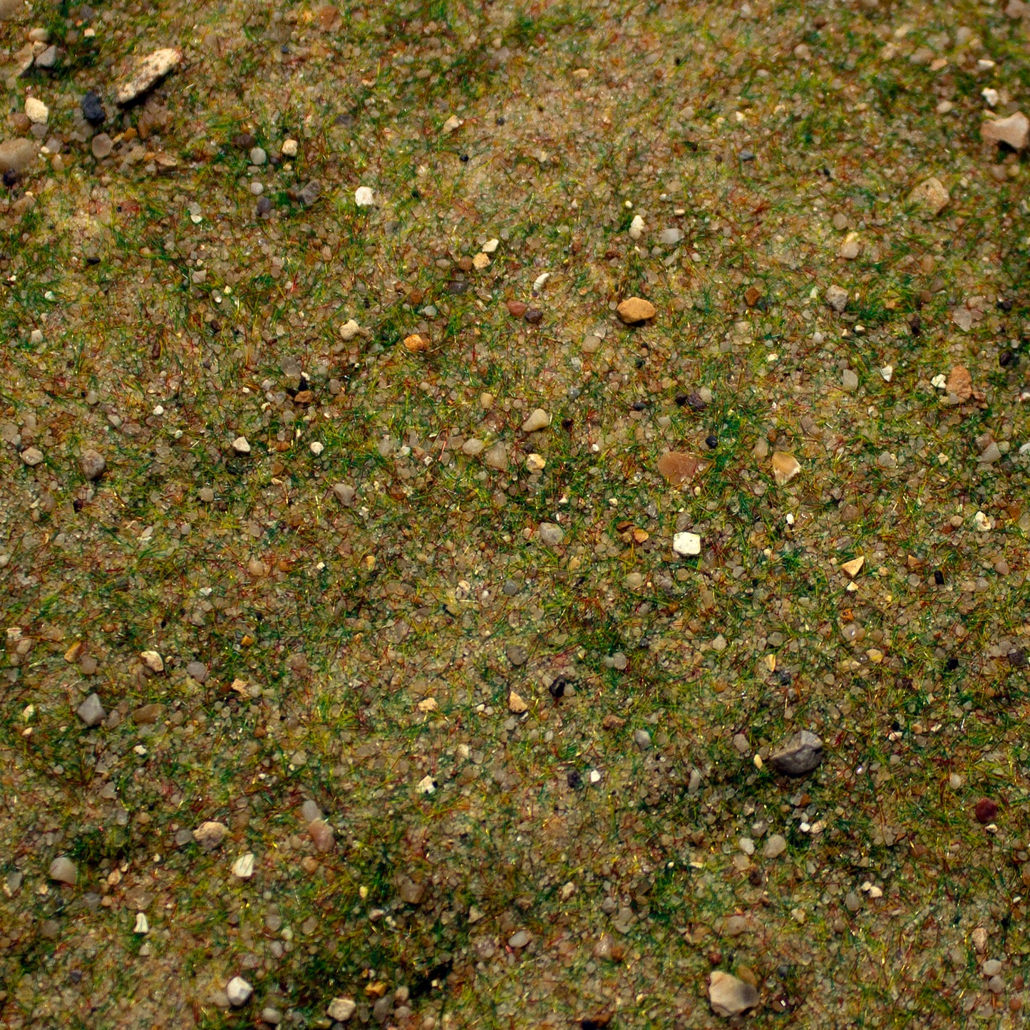 Base Ready Fields Of New Zealand