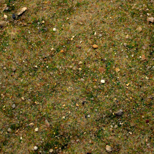 Base Ready Fields Of New Zealand