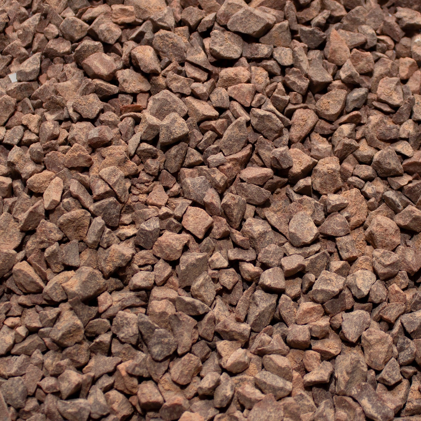 Base Ready Mars Rocks