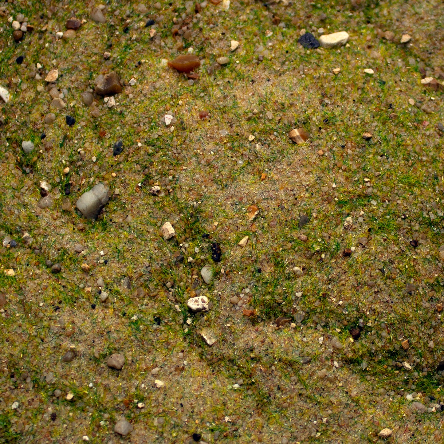 Base Ready Mediterranean Soil