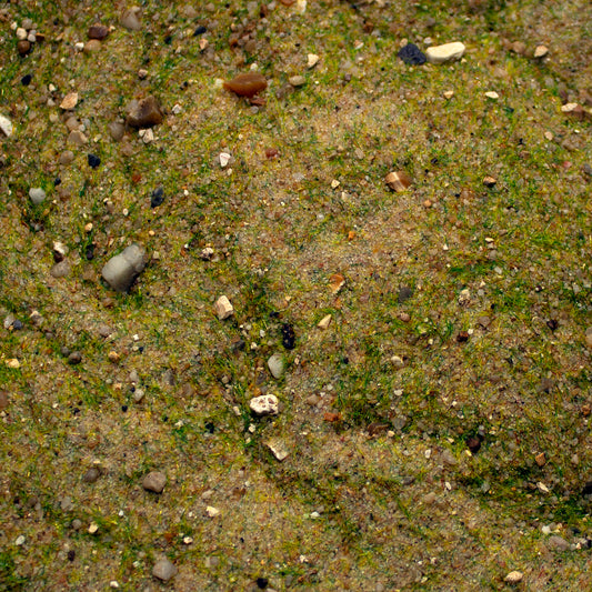 Base Ready Mediterranean Soil