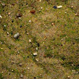 Base Ready Grasslands Collection | Geek Gaming Scenics - Base Ready - Geek Gaming Scenics - Geek Gaming Scenics