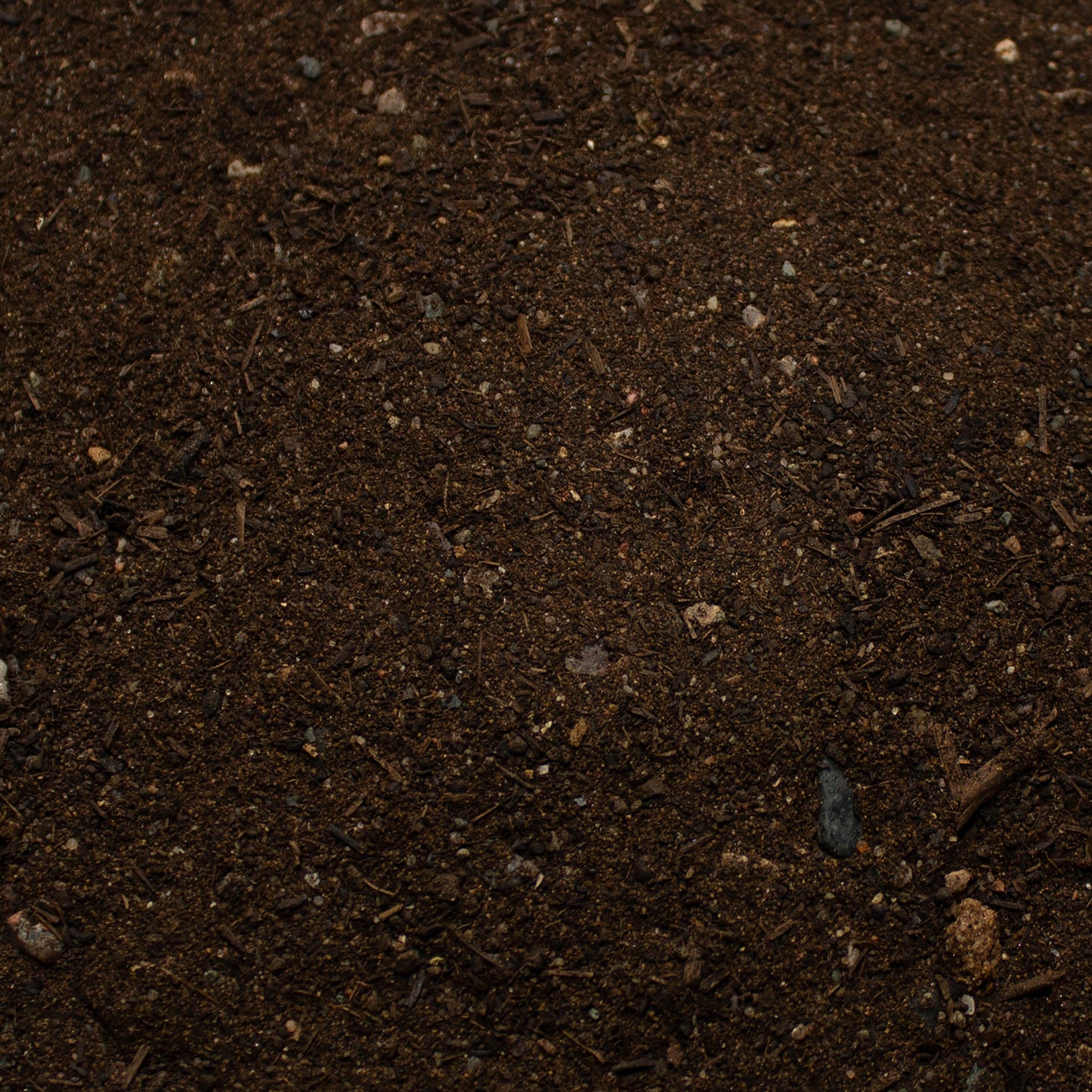 Base Ready No Man's Land