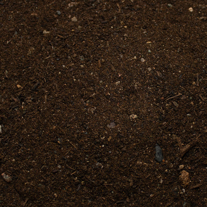 Base Ready No Man's Land