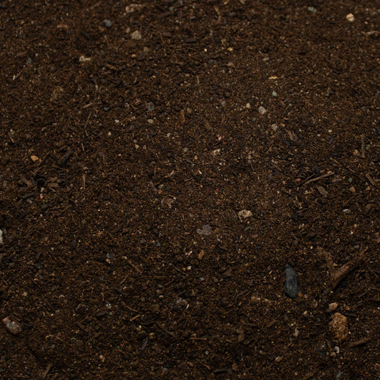 Base Ready No Man's Land