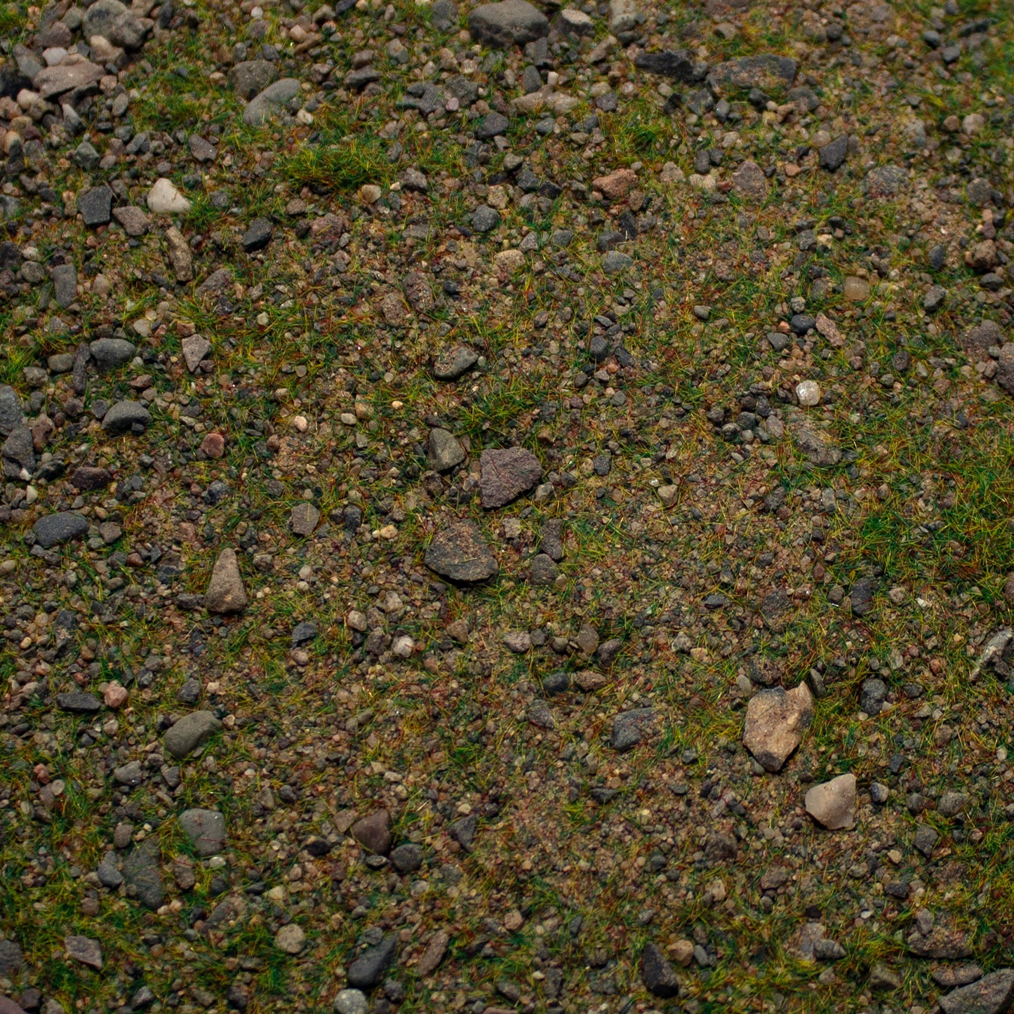 Base Ready Patchy Plains