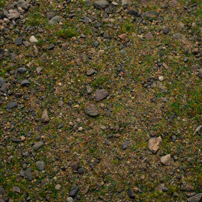 Base Ready Grasslands Collection | Geek Gaming Scenics - Base Ready - Geek Gaming Scenics - Geek Gaming Scenics