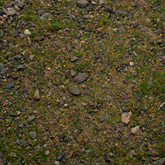 Base Ready Patchy Plains