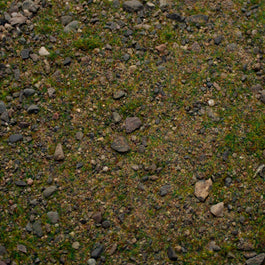 Base Ready Patchy Plains | Miniature Basing Mix | Geek Gaming Scenics - Base Ready - Geek Gaming Scenics - Geek Gaming Scenics