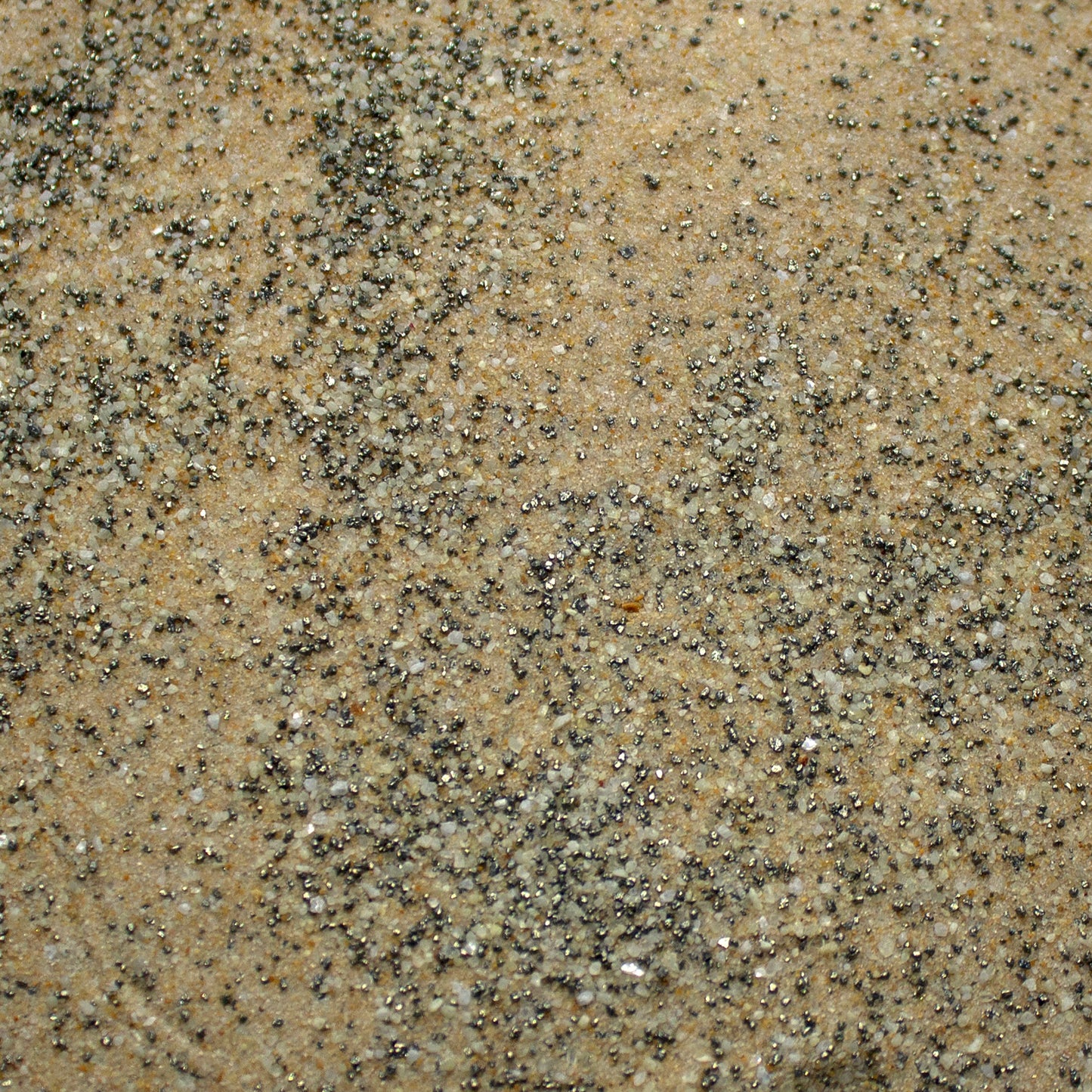 Base Ready Sand-Dune