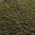 Base Ready Summer Meadow | Miniature Basing Mix | Geek Gaming Scenics - Base Ready - Geek Gaming Scenics - Geek Gaming Scenics