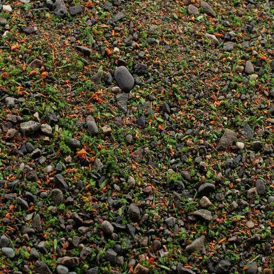 Base Ready Summer Meadow | Miniature Basing Mix | Geek Gaming Scenics - Base Ready - Geek Gaming Scenics - Geek Gaming Scenics