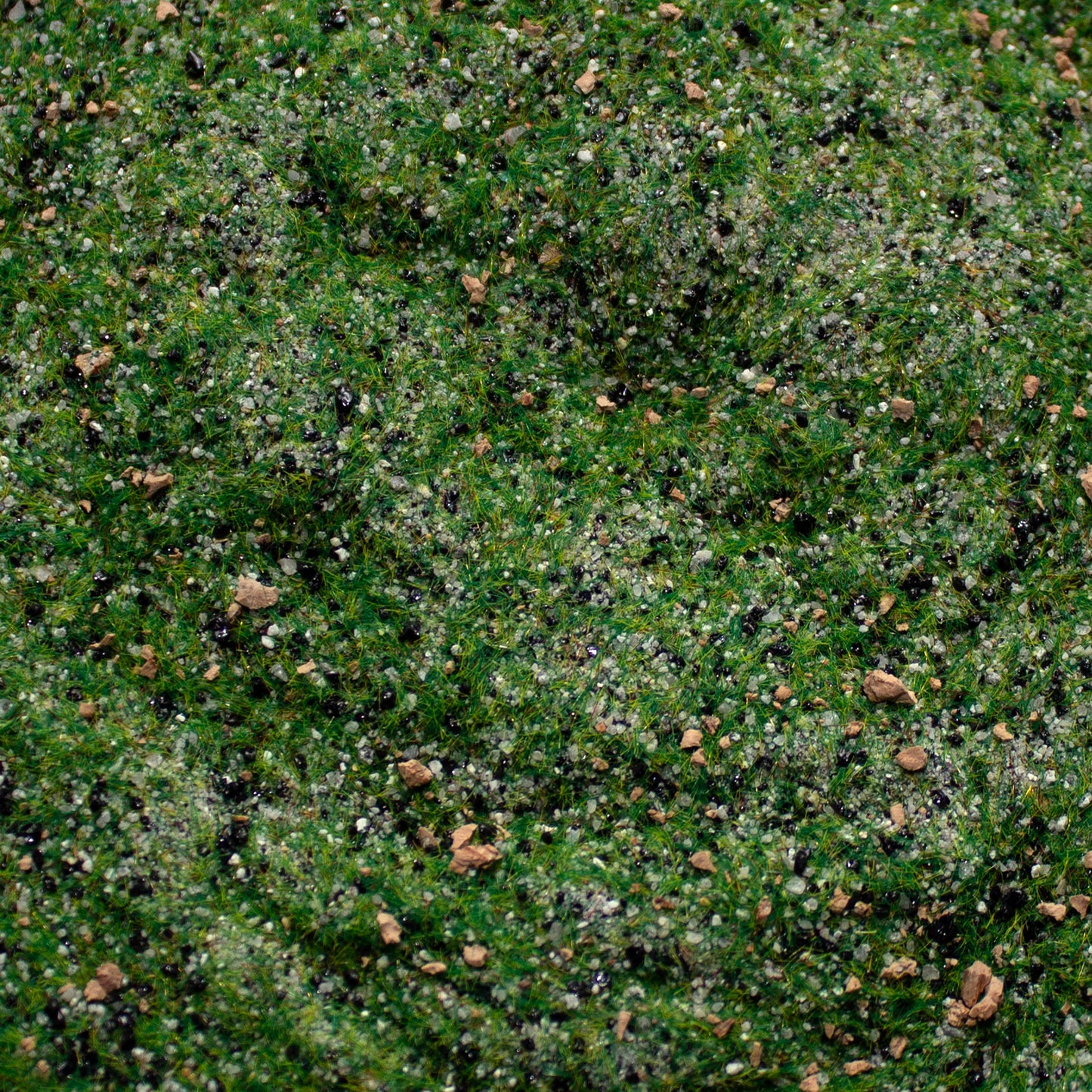 Base Ready Taiga Hillside