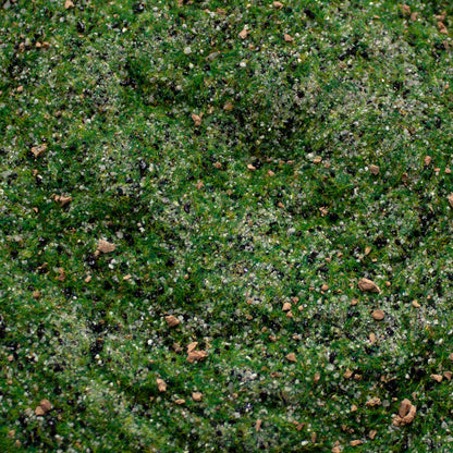 Base Ready Taiga Hillside