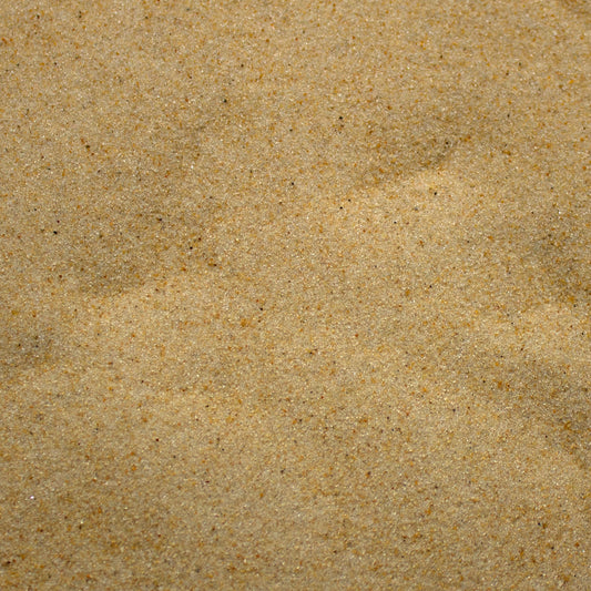 Base Ready Tropical Beach