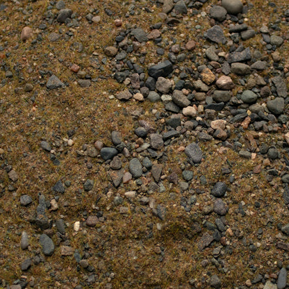 Base Ready Wasteland Soil