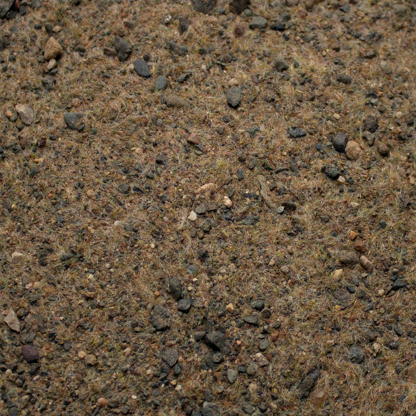 Base Ready Winter Tundra