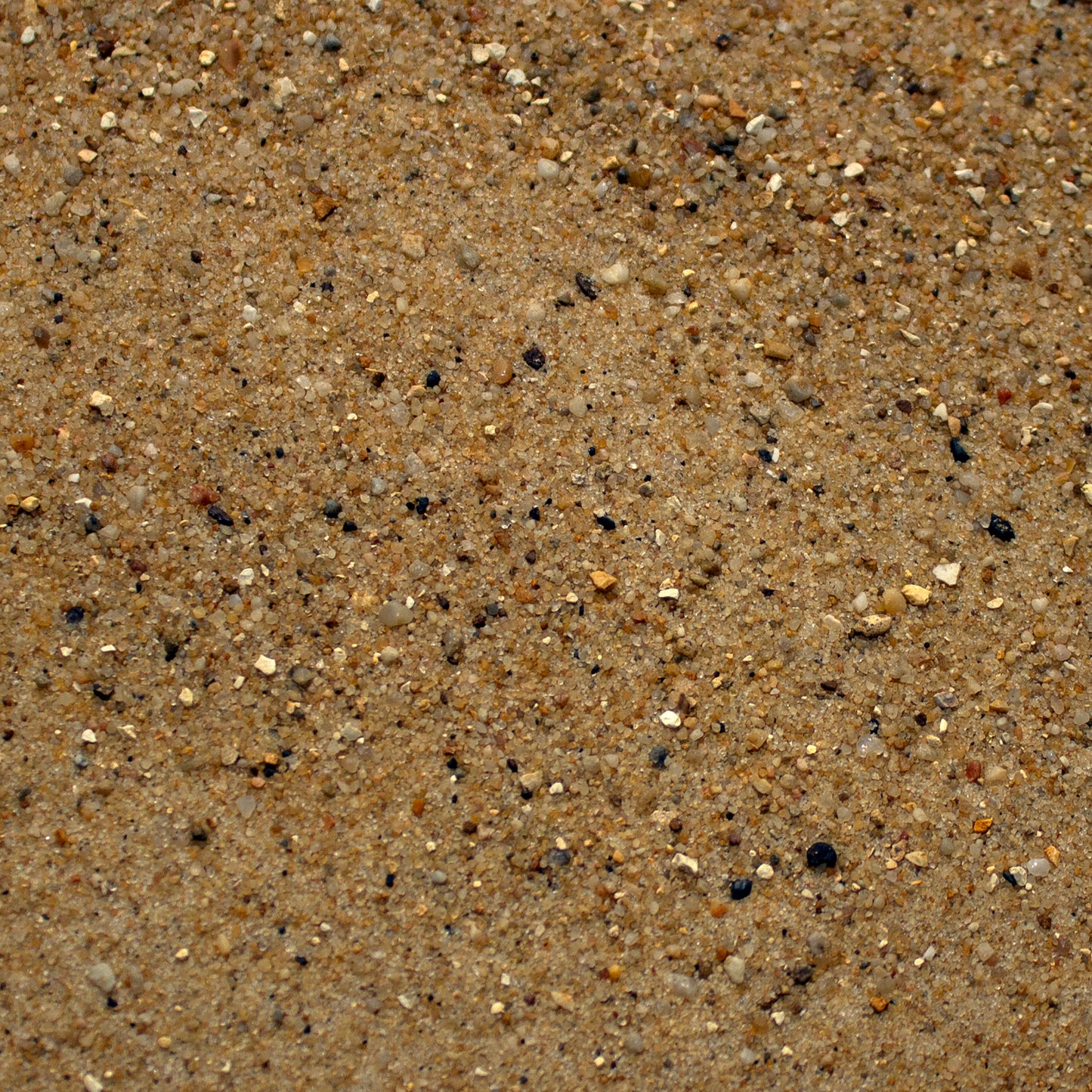 Base Ready Desert Sand And Stone (Small Scale)