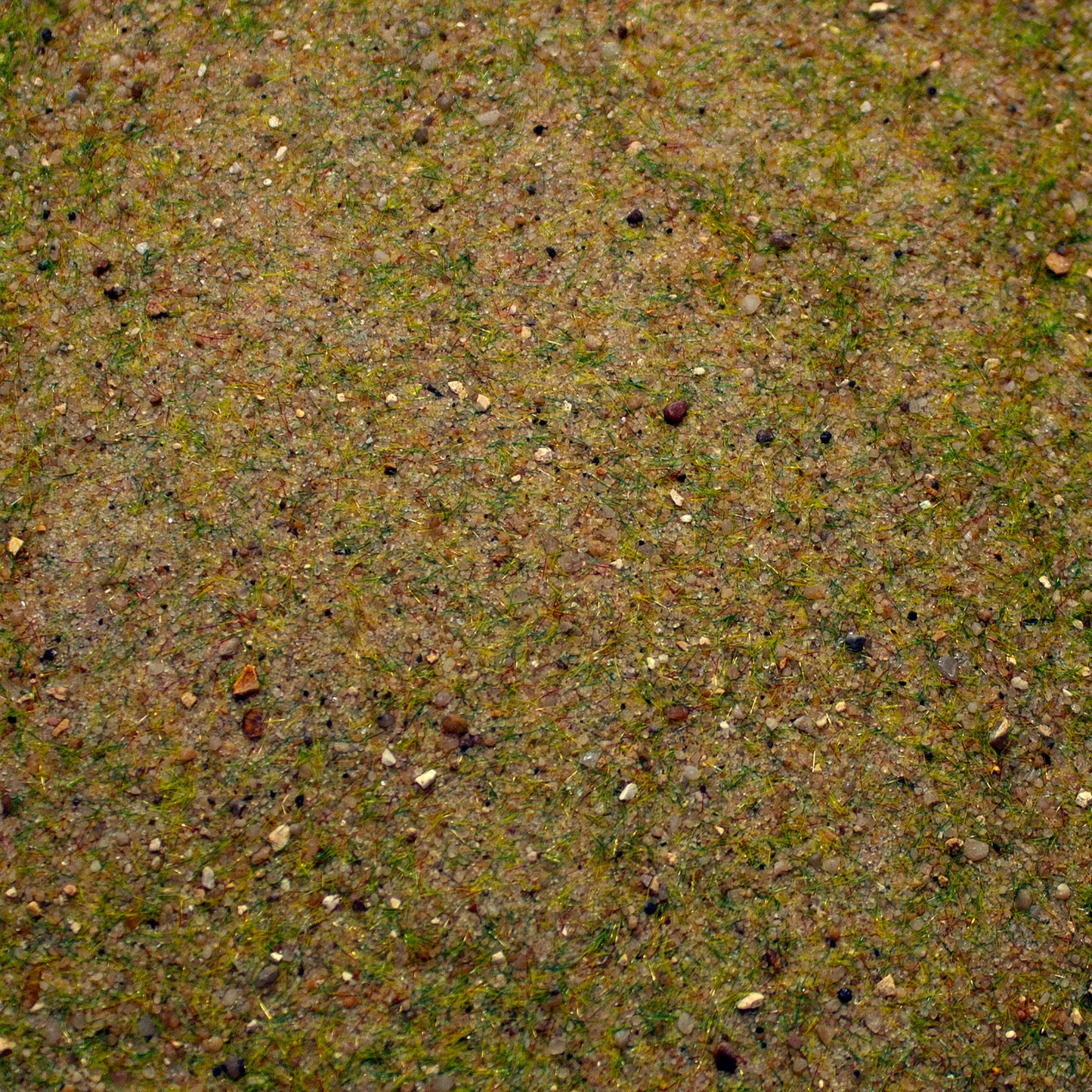 Base Ready Mediterranean Soil (Small Scale)