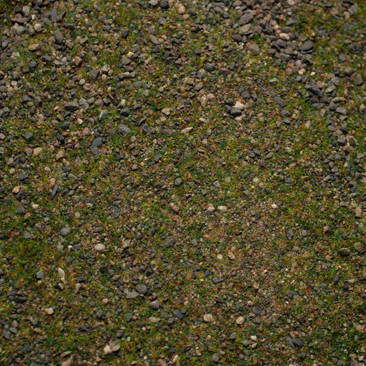 Base Ready Patchy Plains (Small Scale)