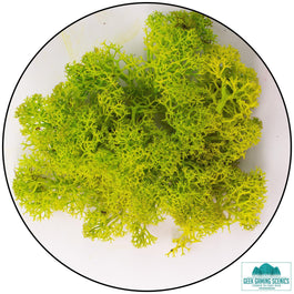 Lichen - Reindeer Moss (Icelandic Moss) Apple Green (Spring) - Lichen - Geek Gaming Scenics - Geek Gaming Scenics