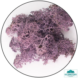 Lichen - Reindeer Moss (Icelandic Moss) Aubergine Purple - Lichen - Geek Gaming Scenics - Geek Gaming Scenics